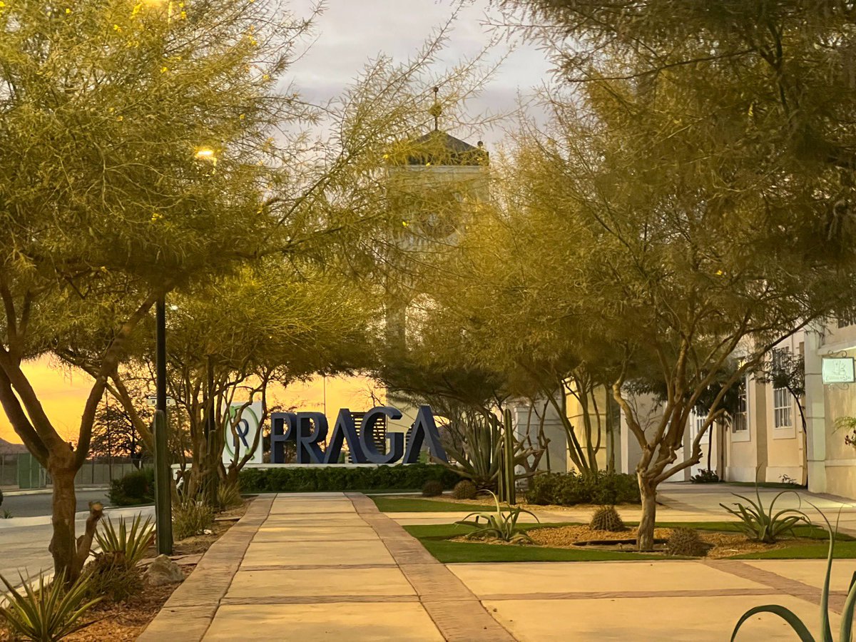 La #VegetaciónNativa es esencial para ahorrar agua, buscar un equilibrio ecológico y dar belleza a las #ComunidadesDerexC+🌿  

#Praga #Hermosillo
#ViviendaAdecuada #PensandoFueraDeLaCasa