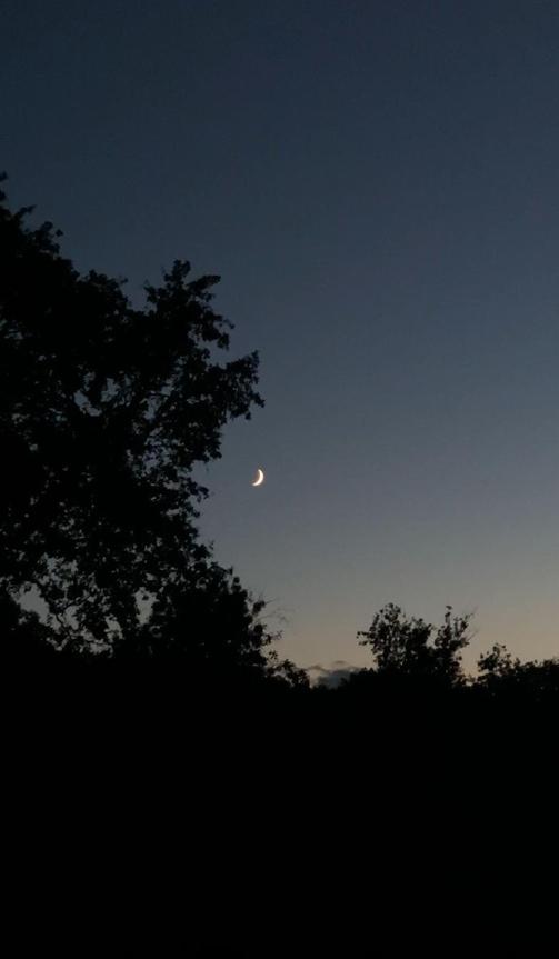 1xHalitx1's tweet image. おはよ！ まったりしたい気分。音楽聴きながらまったり。すっきりした気分✨ ☀️