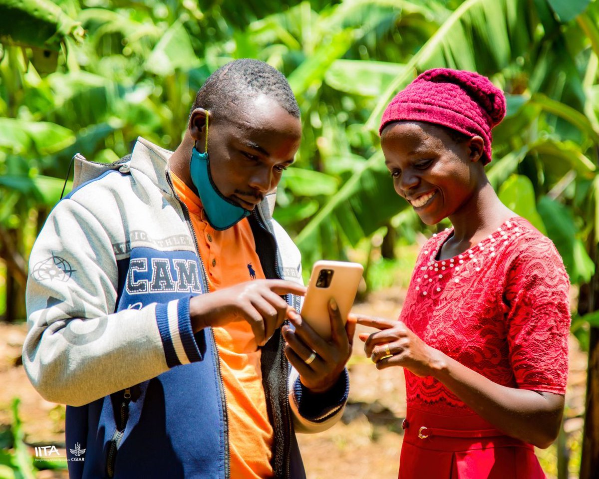 Leg4Dev's tweet image. 📱🌾 Article in International Journal of Advance Research Publication and Reviews highlights how digital finance and agricultural credit can help reshape rural economies when designed inclusively.

Read: ijarpr.com/uploads/V2ISSU…

Photo:  @IITA_CGIAR Rwanda, 2022, CC BY 2.0.