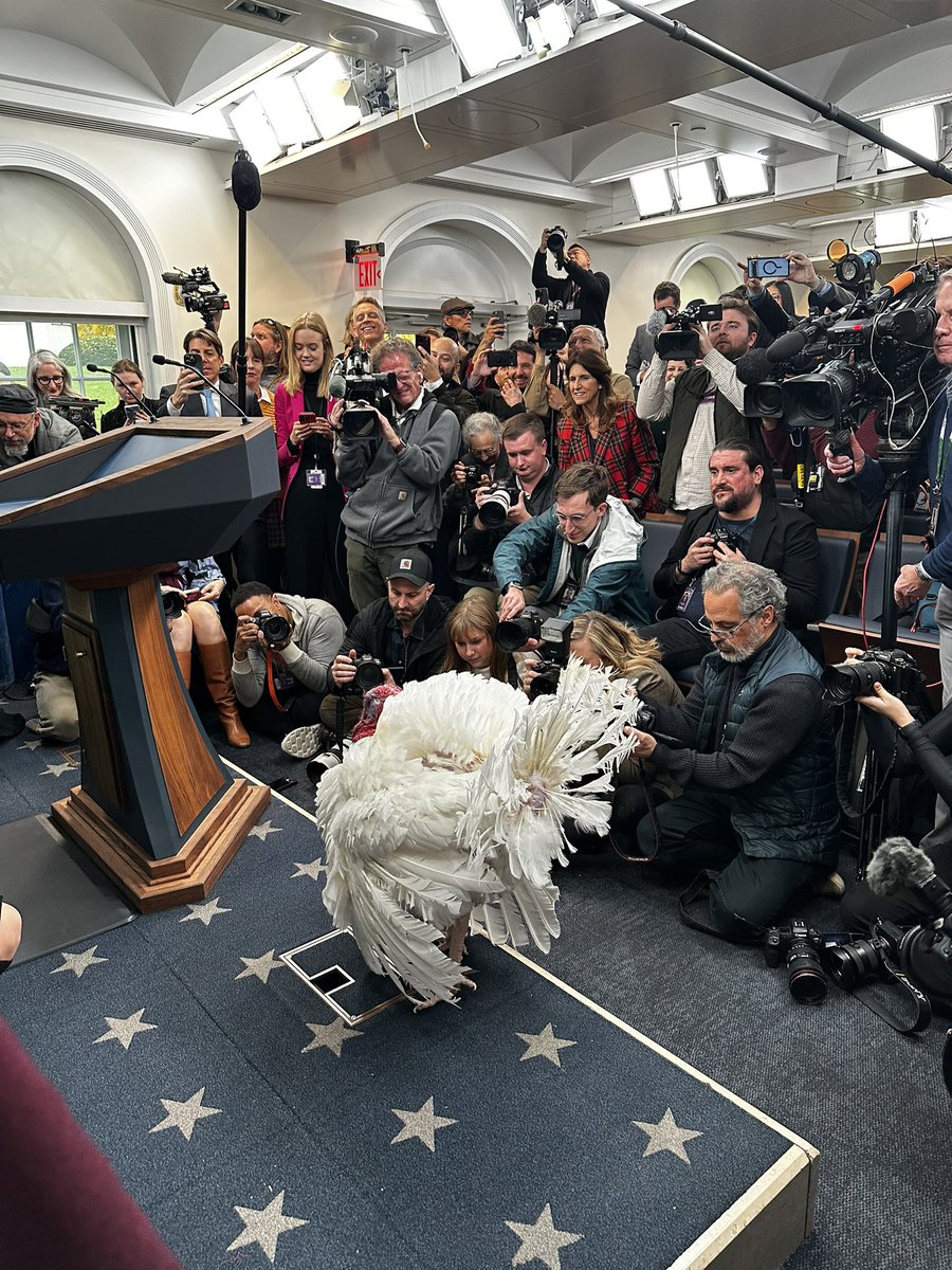 ATJackson47's tweet image. 👋🏼 🦃 📸