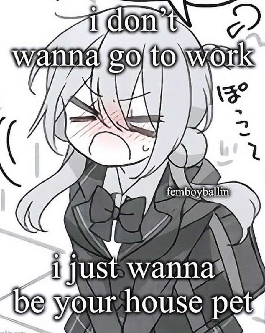 sanrinifem1's tweet image. 