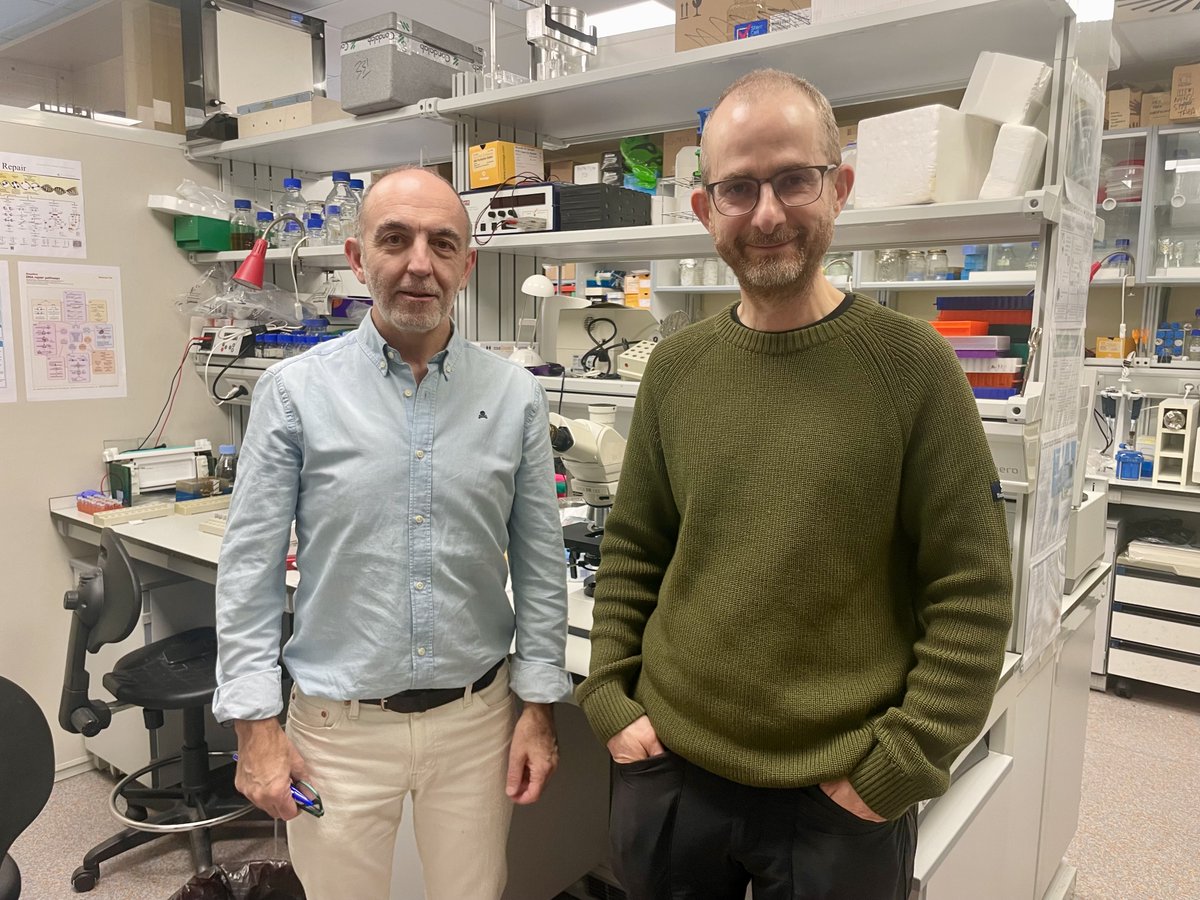 CBM_CSIC_UAM's tweet image. 🚀 En el CBM hemos tenido la gran suerte de recibir y escuchar a dos grandes en estos días: Andrés Aguilera (@cabimer), en la 31ª Lección Conmemorativa Severo Ochoa, y Karim Labib (@dundeeuni, MRC-PPU). ¡Gracias por inspirar y enriquecer nuestro ecosistema científico!