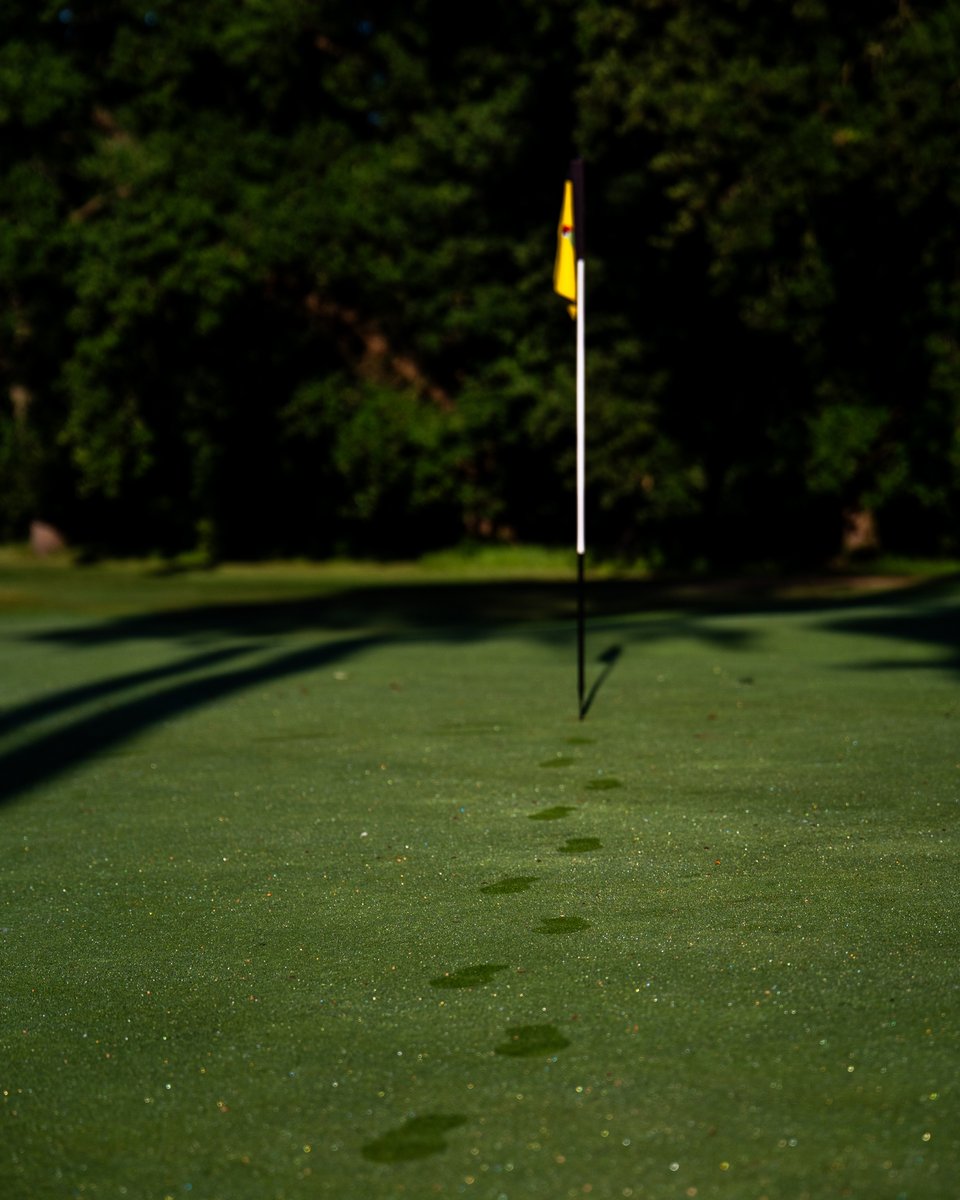 Dew on the greens, a chill in the air, and putts still running true - winter mornings made possible by the efforts of our greenkeeping team.