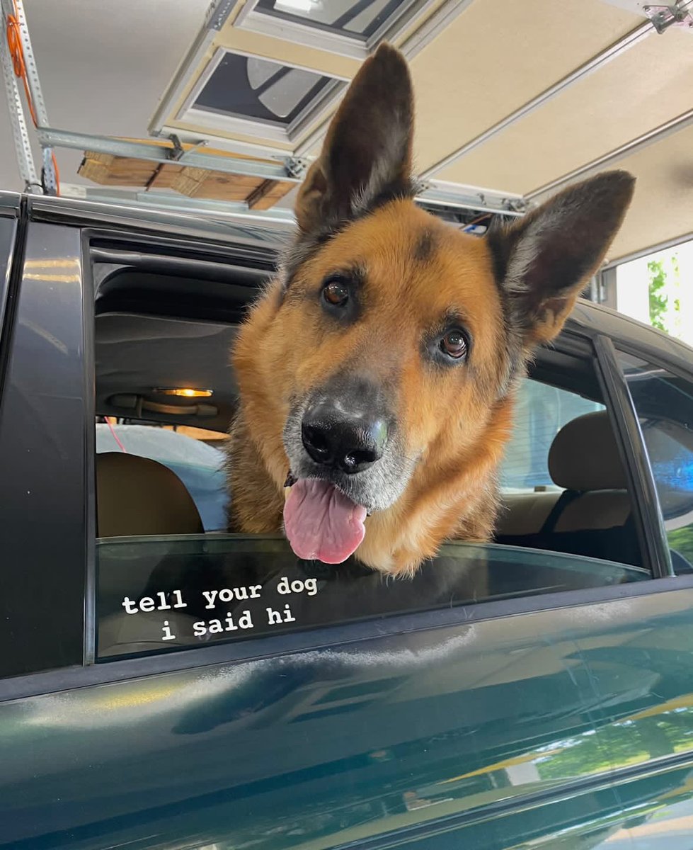 Our biggest sale of the year is happening now. Every order of "tell your dog i said hi" merch gets a free sticker AND if you buy any hoodie or crewneck, you'll also get a free shirt of your choice. Shop below!

weratedogs.com/?utm_source=tw…