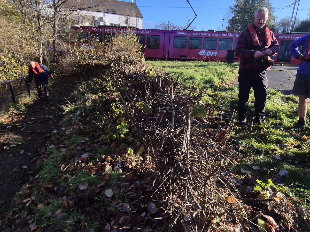Today's Towpath Taskforce session used workboat 'Hawk' to convey volunteers &amp; tools from Tinsley to Pinfold Bridge. Our task was to maintain &amp; tidy the towpath access area including the upper hedgerow and the leaf strewn access steps themselves. <a href="/CRTYorkshireNE/">Canal & River Trust - Yorkshire & North East</a>
<a href="/CanalRiverTrust/">Canal & River Trust</a>