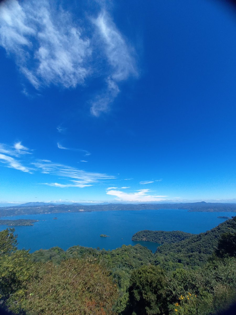 Alex Hasbun tweet media