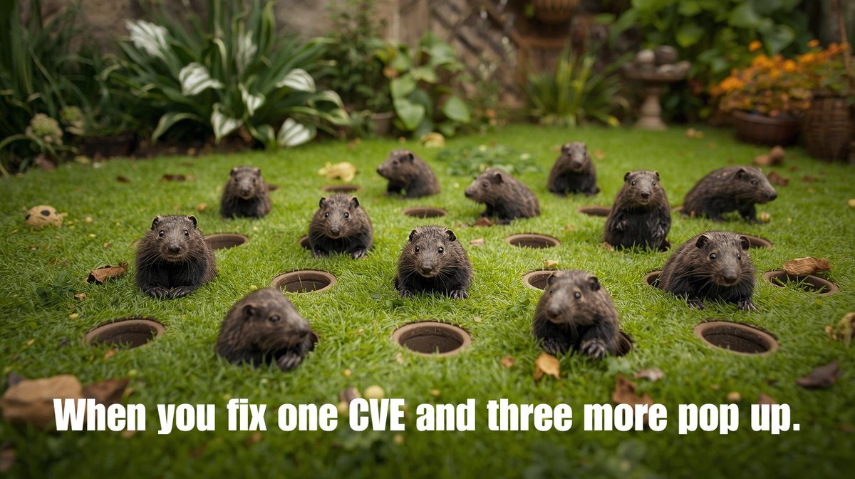 CalComsoftware's tweet image. Patch Tuesday called.
We’re gonna need a bigger mallet. 🔨

Still playing whack-a-mole with vulnerabilities? CTEM helps you focus on what actually matters not just whatever’s popping up its fuzzy little head.
hubs.ly/Q03VQd_X0
