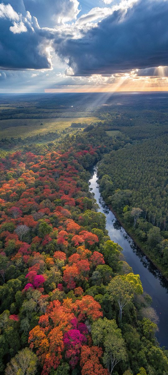 2025 (@2025pics) on Twitter photo 