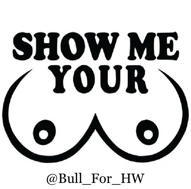 Bull For HW tweet media