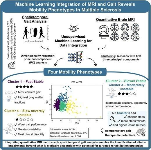 braincomms's tweet image. Inojosa et al. report that integrating MRI with gait analysis in people with multiple sclerosis identified four distinct mobility phenotypes using machine learning. Showing subtle gait impairments and compensatory patterns 👉 buff.ly/6g4hCoc @hernaninojosa @tjalfziemssen