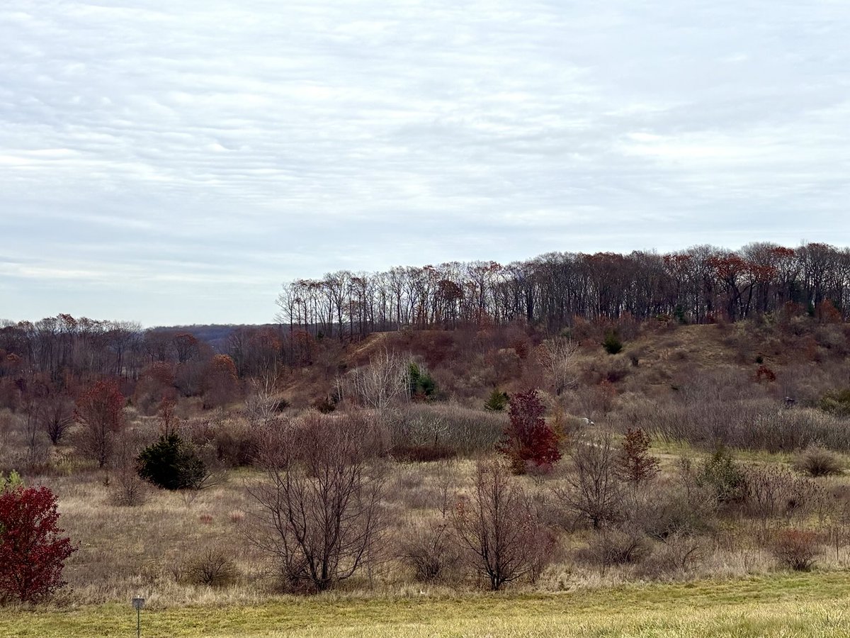 The Roberts Property Park in Bristol CT
