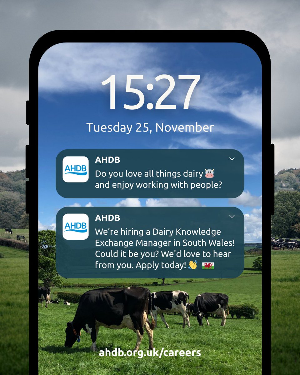 We’re hiring a Dairy Knowledge Exchange Manager in South Wales! 🐄🏴󠁧󠁢󠁷󠁬󠁳󠁿

If you’re a confident and skilled communicator with a detailed knowledge of the dairy sector, we’d love to hear from you! ✍️

Learn more and apply today on our careers webpage: ow.ly/984V50Xxq8q