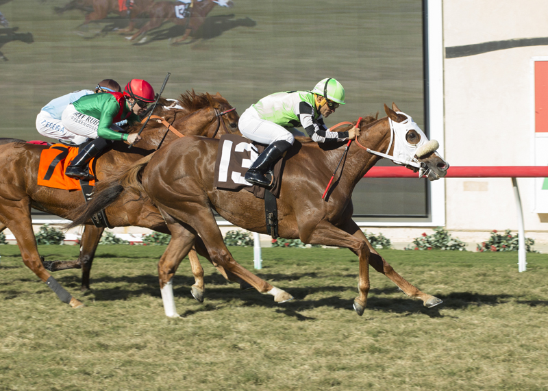 <a href="/Domsavides/">Domenic</a> His mother How Unusual won the female equivalent Red Carpet (G3) in 2017 at <a href="/DelMarRacing/">Del Mar Racetrack</a> . Let's go!!!!!!
