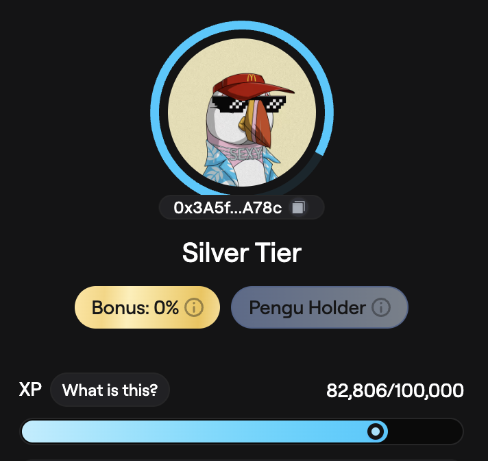 8,291 XP for this week on <a href="/AbstractChain/">Abstract</a>!

17k away from Gold 🤩