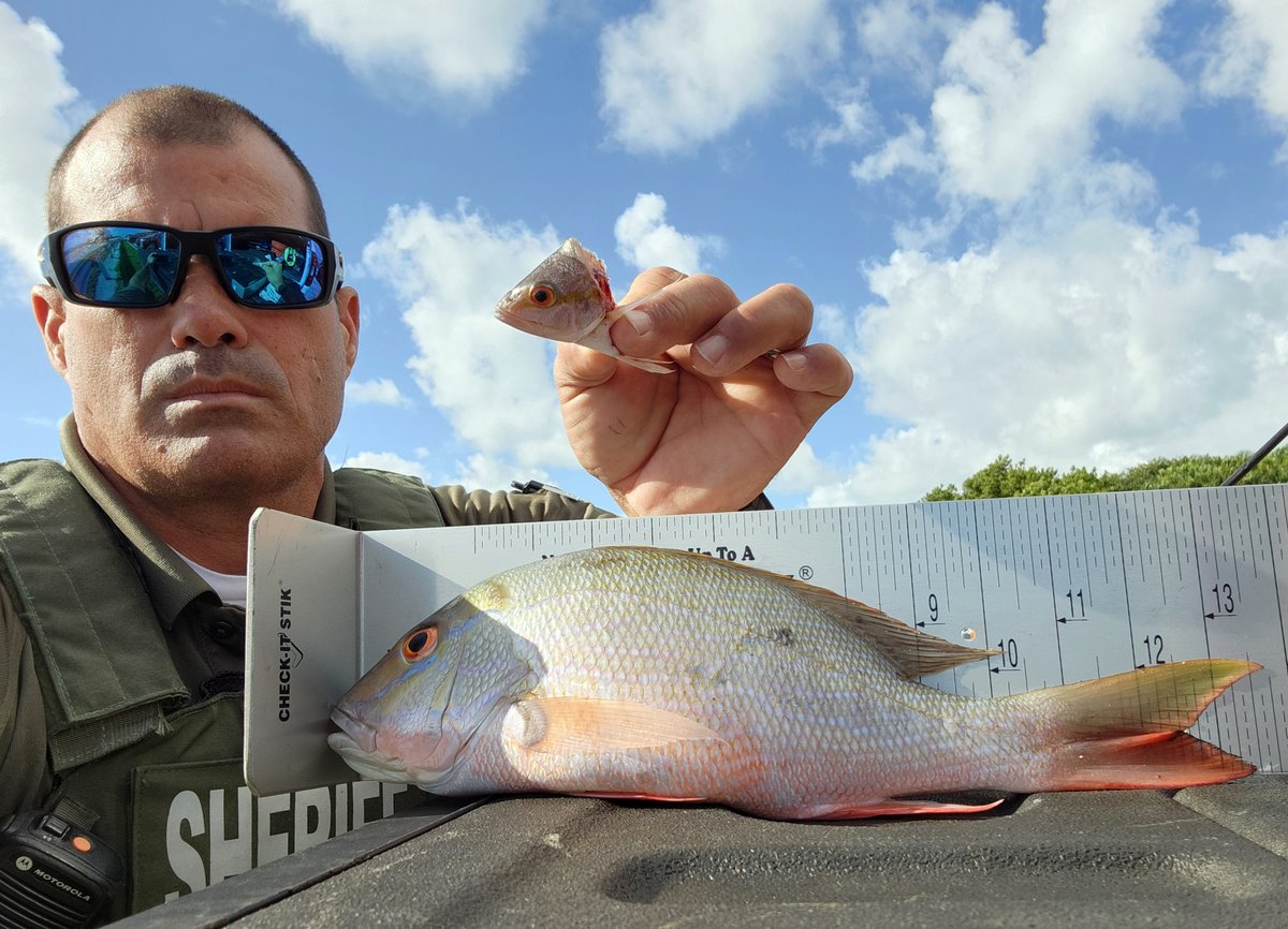 Man cited in fish case ocv.im/idM2Ron