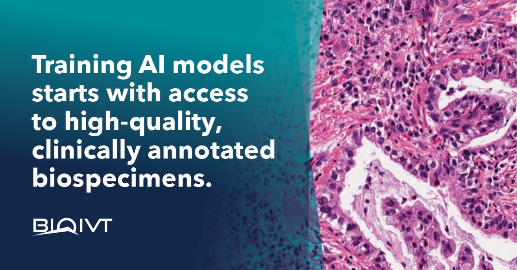 BioIVT's tweet image. For those training #AI to detect disease, #Visionaire by BioIVT makes sourcing highly specialized, diverse, quality and validated #DigitalPathology whole slide images (#WSI) with clinically rich data easy. Learn more: hubs.ly/Q03VC__q0