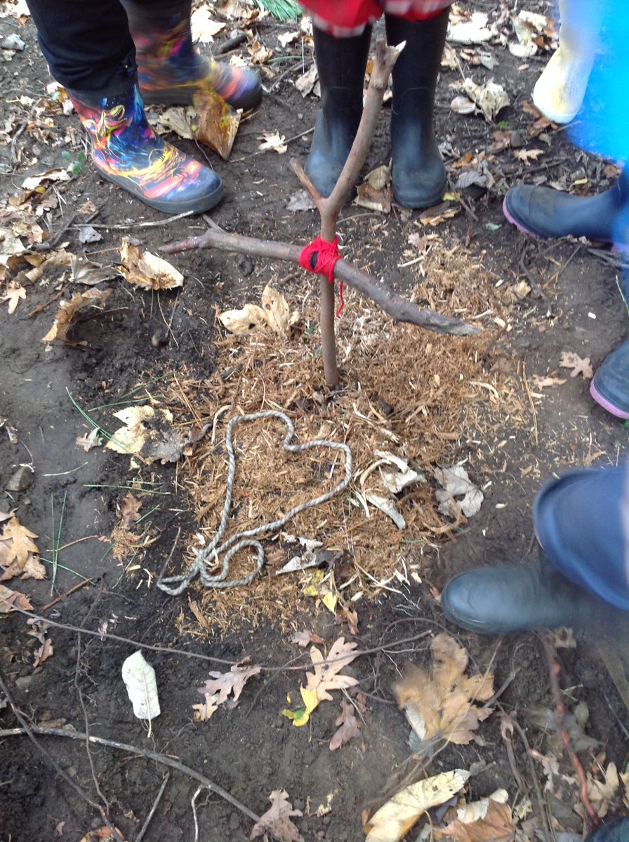 Roehampton Church Forest School tweet media