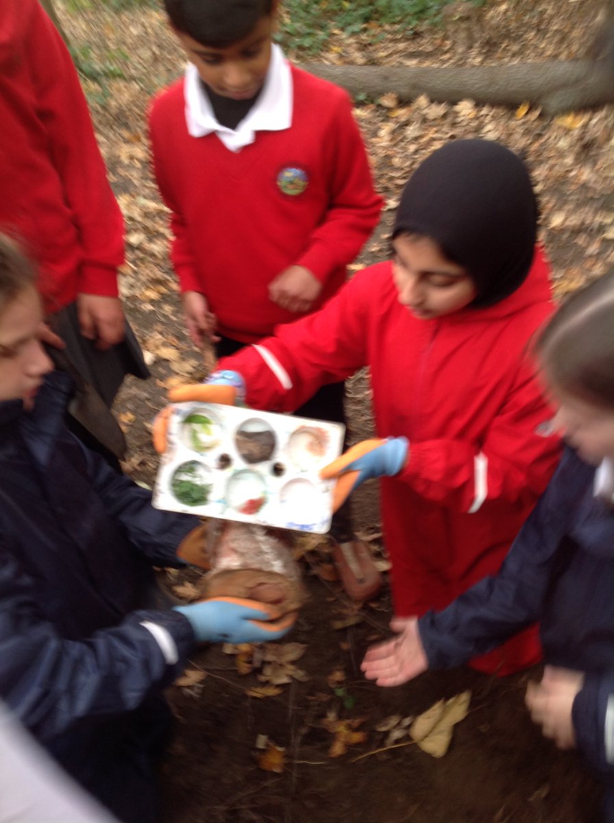Roehampton Church Forest School tweet media