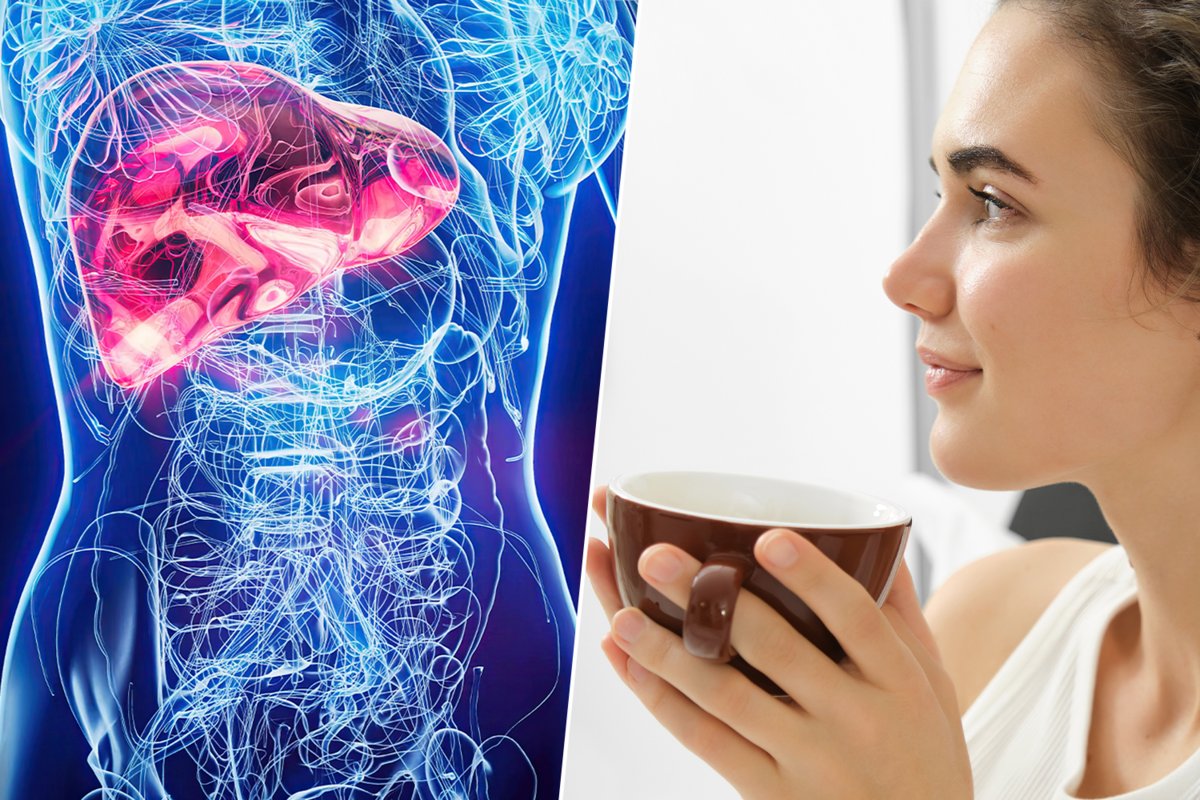 El hígado graso avanza en silencio, pero la ciencia ha encontrado unos aliados inesperados: el #café y el té verde. Publicado en <a href="/xataka/">xataka</a>  xataka.com/medicina-y-sal…