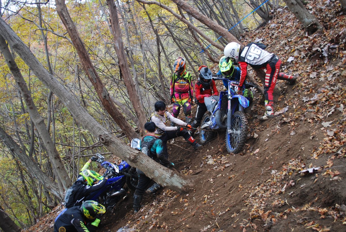 ゆうま (@yuma887) / Posts / X