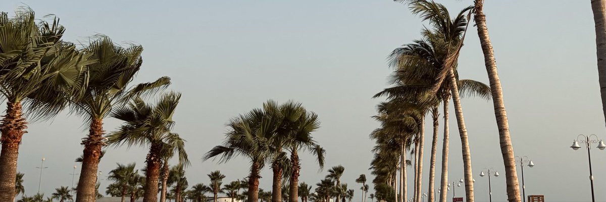 ريـما tweet media