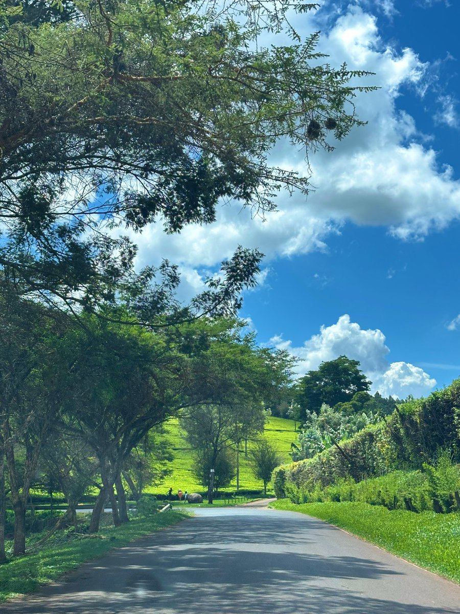 waithera_jk's tweet image. today i walked 7km and had plaintain &amp;amp; kienyeji chicken at Ha Njeri ☘️♥️