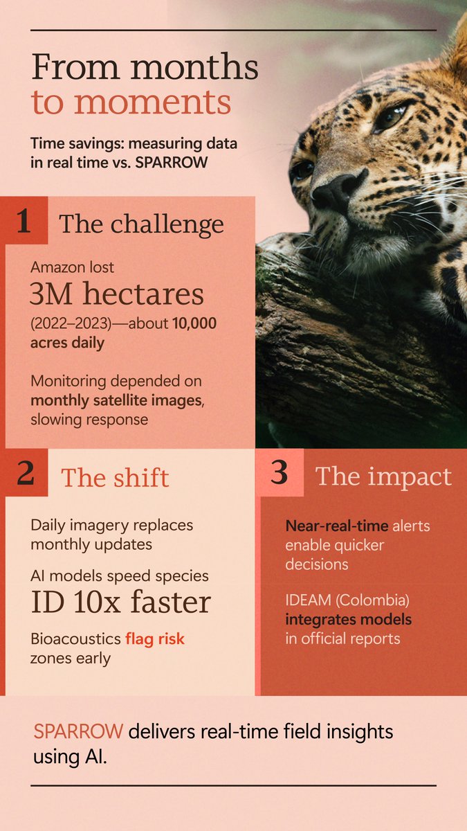 SPARROW is a solar‑powered, open‑source system from Microsoft’s AI for Good Lab that advances rainforest protection with real-time insights. Our partners at <a href="/IDEAMColombia/">Ideam Colombia</a> use these insights in official reporting to accelerate action against deforestation. msft.it/6011tn4EZ