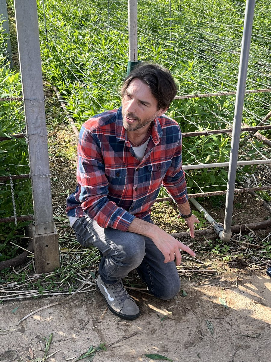 Crosslands Flower Nursery👨‍🌾🌿 tweet media