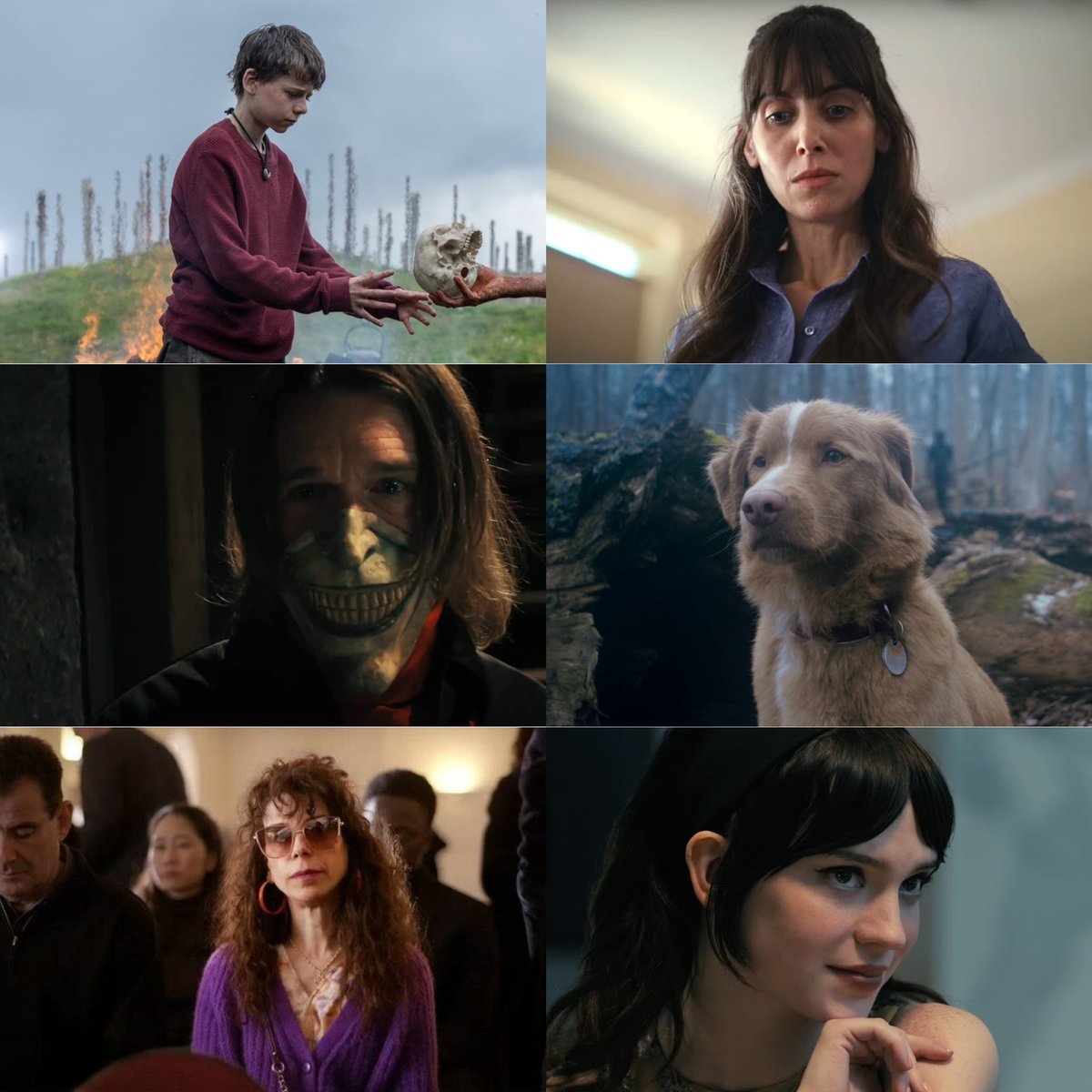 FilmUpdates's tweet image. 2025 Astra Film Awards – Nominations

Best Performance in a Horror or Thriller:

• Alfie Williams – 28 Years Later
• Alison Brie – Together
• Ethan Hawke – Black Phone 2
• Indy The Dog – Good Boy
• Sally Hawkins – Bring Her Back
• Sophie Thatcher – Companion