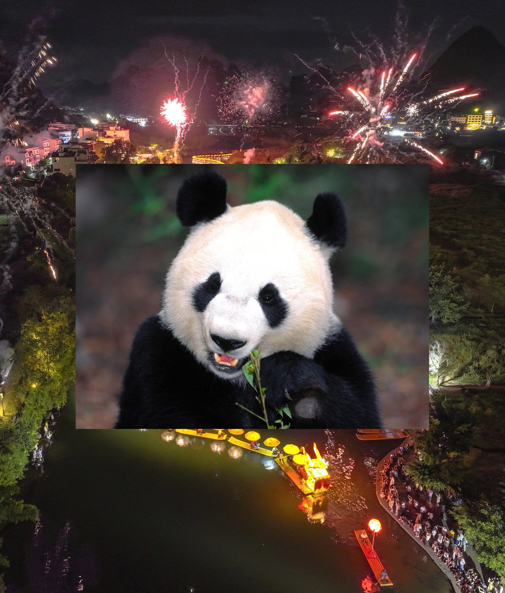 dalisaki tweet media