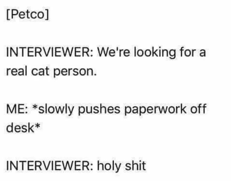 Jennifer Cass tweet media