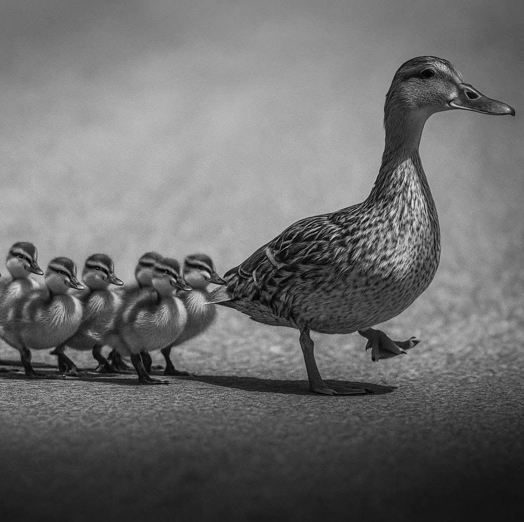 Respect to mothers love❤️❤️❤️❤️