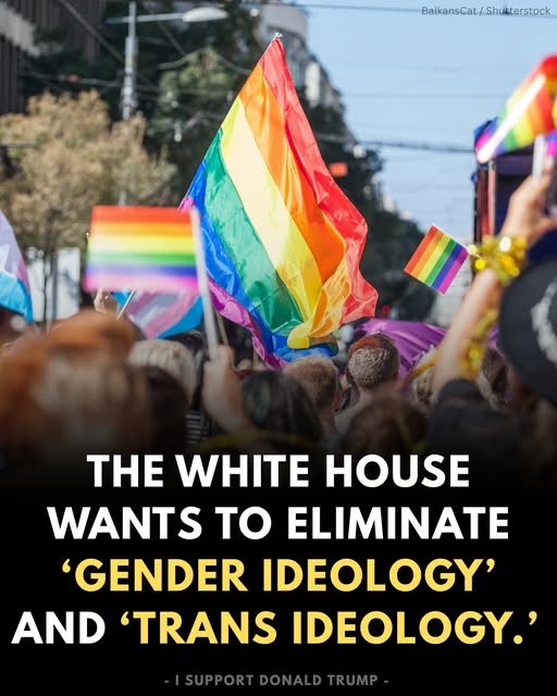 Make Sanity Great Again!!!
MSGA!