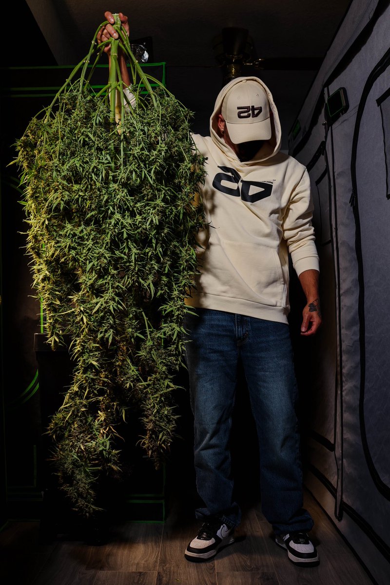 WeedPorns's tweet image. FREE Giveaway! 

Teamed up with @Fast_Buds to help 3 people start their growing journey. 3 winners will get 25 seeds a textile pot and a swag bag

To enter:

- Like this post and follow @Fast_Buds 
- Comment ‘Fast Buds’