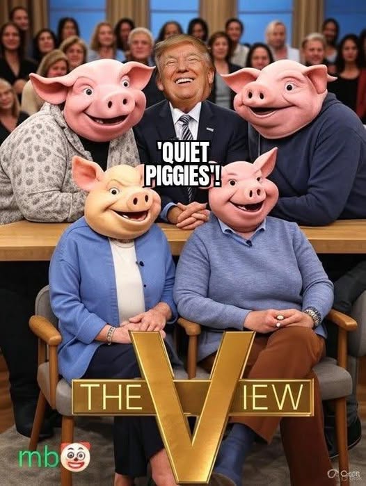 🐖😂😂😂😂😂😂