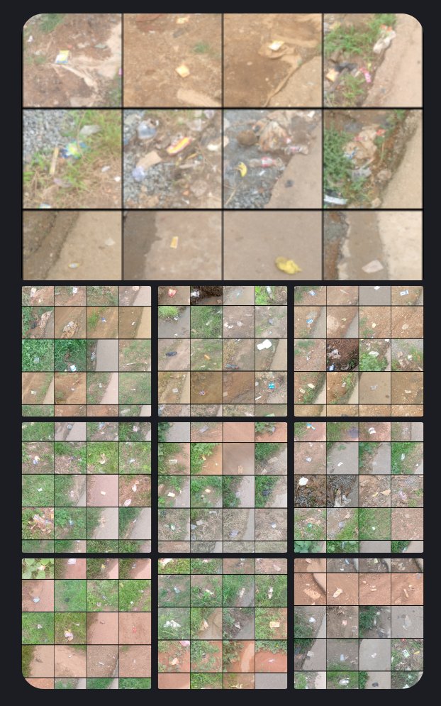 Litter Token ($LTK) 🌱 tweet media