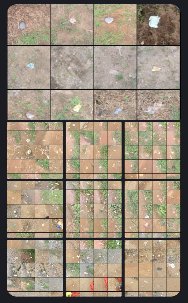 Litter Token ($LTK) 🌱 tweet media