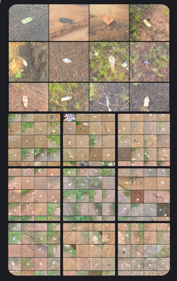 Litter Token ($LTK) 🌱 tweet media