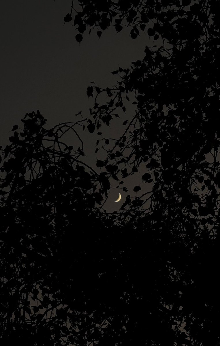 Winter vibes!💜✨ #November #Chandigarh #Punjab