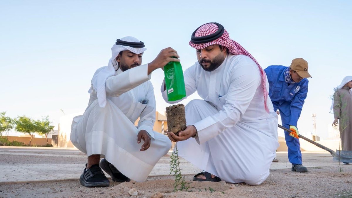 #بلدية_القيصومة تبدأ تشجير مساجد وجوامع المدينة وبالتعاون مع جمعية سقياهم وفرع وزارة الشؤون الإسلامية، تهدف المبادرة في تعزيز الوعي البيئي وزيادة الغطاء النباتي.