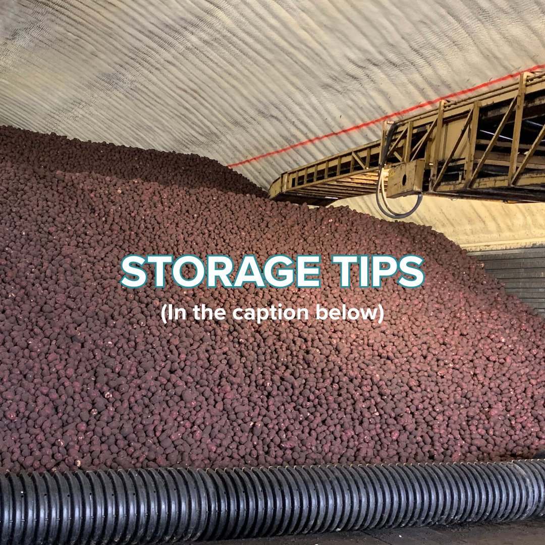 PeakoftheMarket's tweet image. Storage Tips for veggies: 
Keep your veggies fresher, longer 

💡 Potatoes: store cool + dark
🧅 Onions: keep dry + ventilated
🥕 Carrots: store in a sealed bag in the fridge

 #StorageTips #FreshVeggies #HealthyEating #VeggieStorage #FoodPreservation #HomeCooking