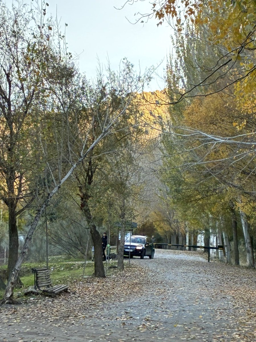 Jerelyn Creado tweet media