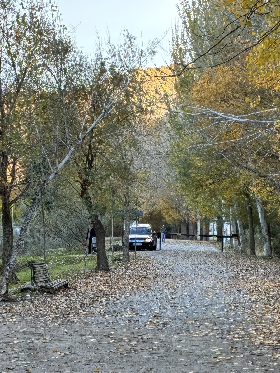 Jerelyn Creado tweet media