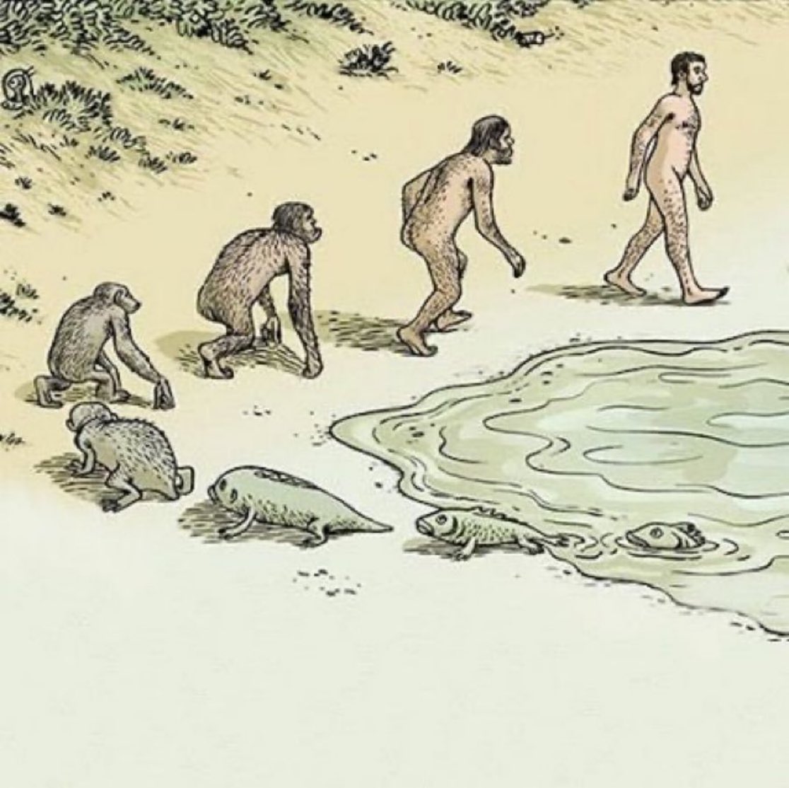 Imagine thinking this makes more sense than believing in God.