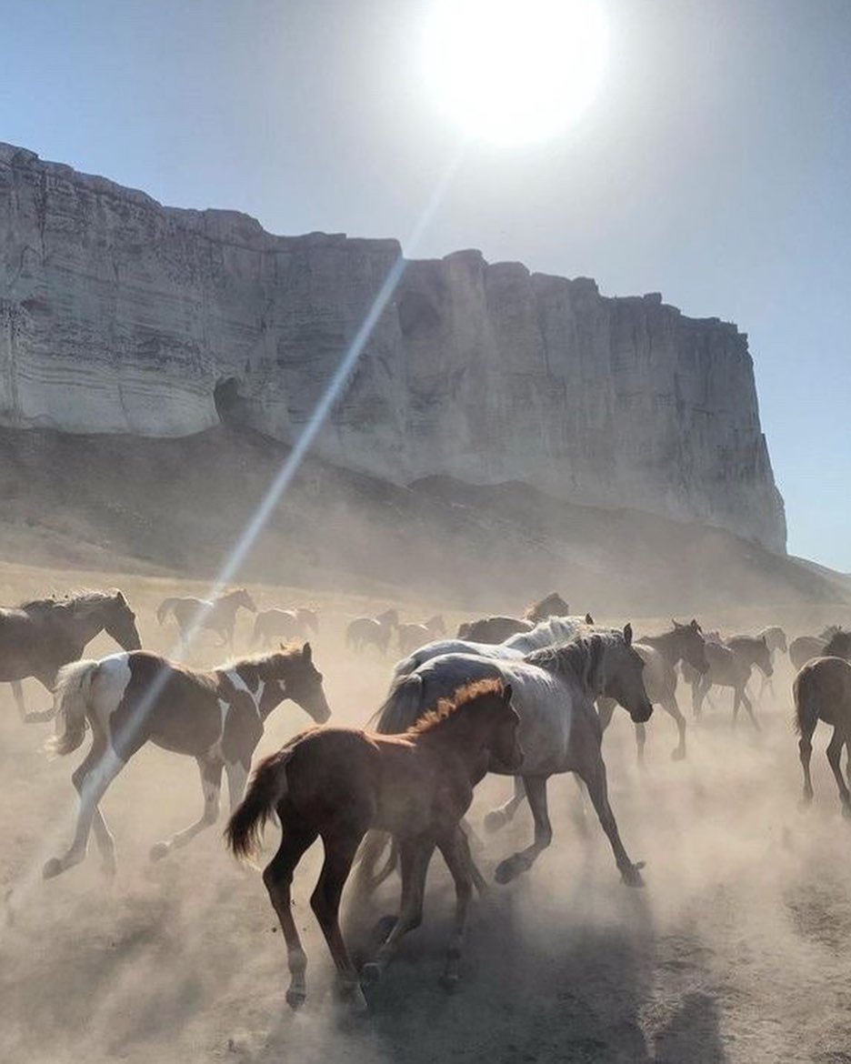 lapislagoons's tweet image. thinking a lot about the upcoming year of the horse