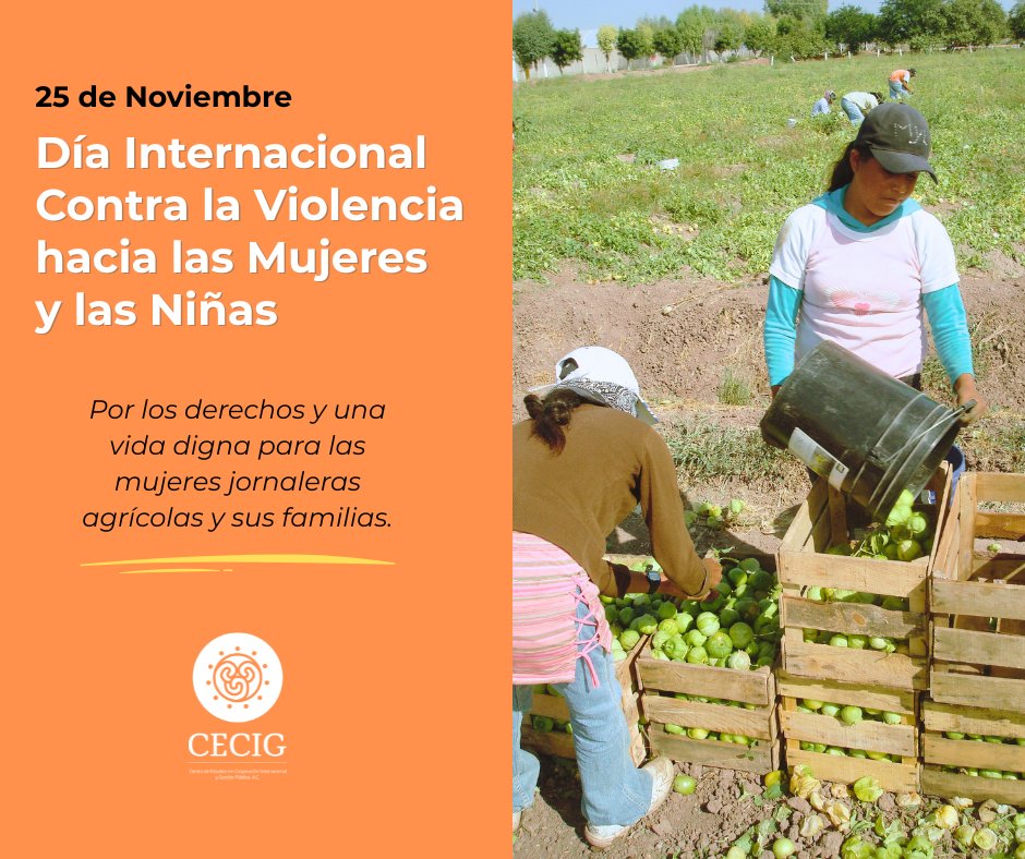 Centro de Estudios en Cooperación Internacional tweet media