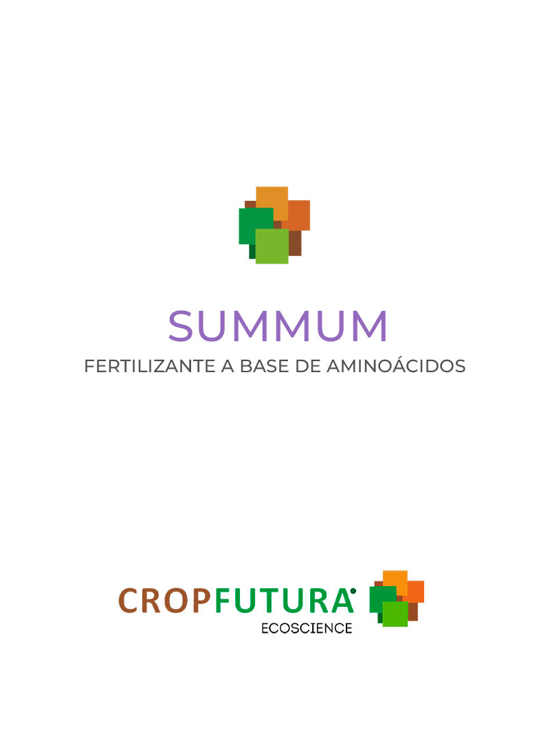 PTecnoagricola's tweet image. 🆕 Incorporamos un producto de #cropfutura a #VADEMECUM

🟩 SUMMUM
Aminoácidos obtenidos mediante fermentación de proteínas vegetales y síntesis. Contiene sustancias húmicas y fúlvicas que nutren el suelo regenerándolo y mejorando su fertilidad
📋 bit.ly/3Xhv3dW

#SUMMUM