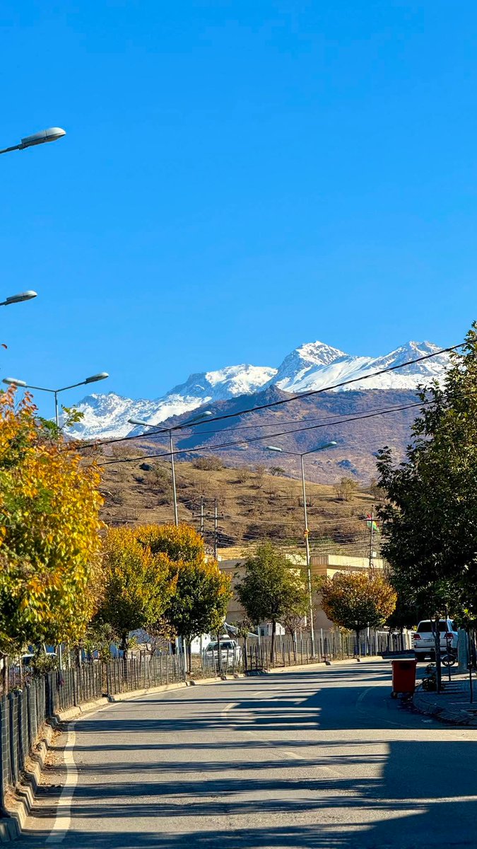 *Shaw Nm* tweet media