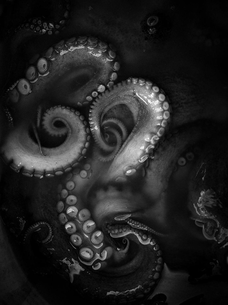 PhotoClub tweet media