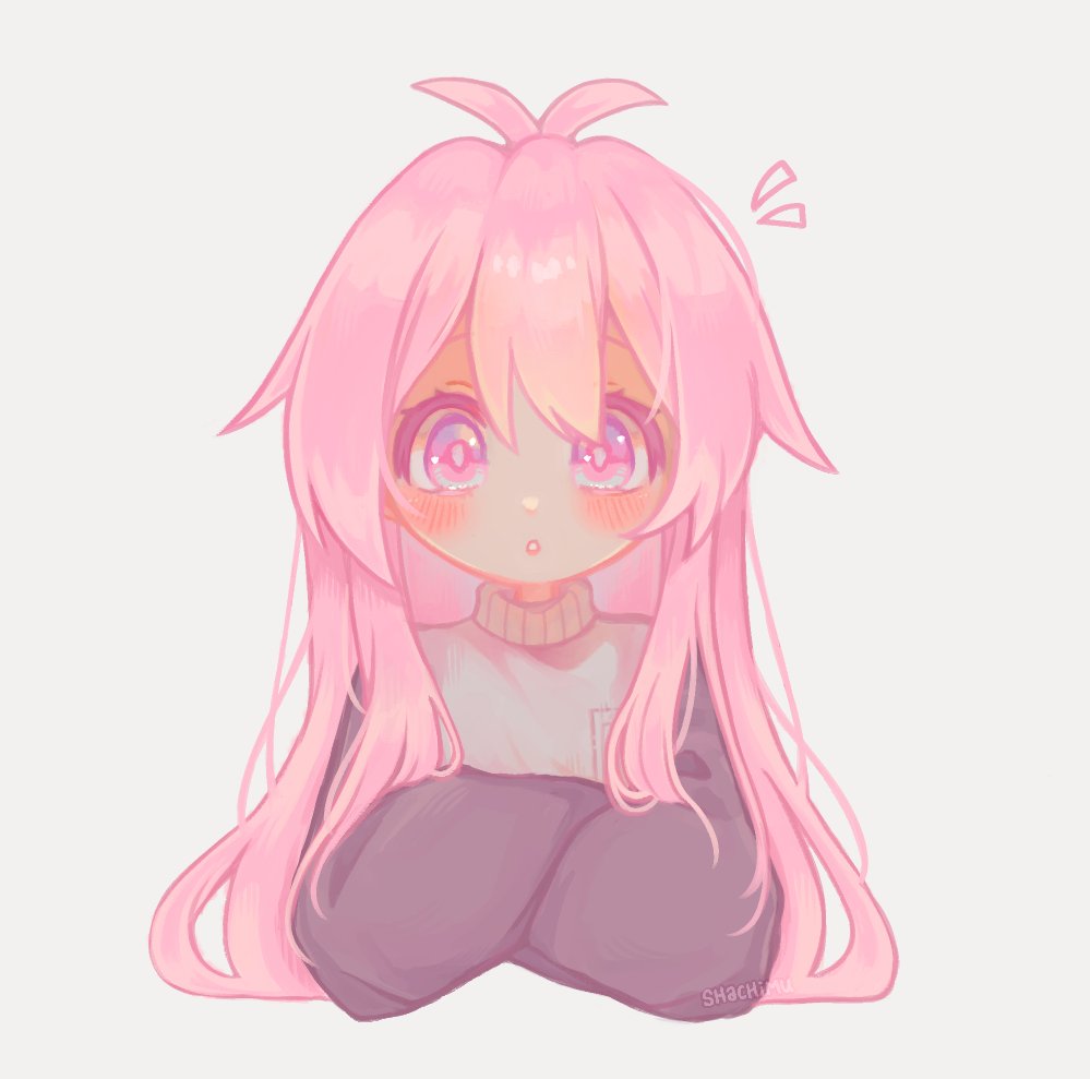 shachimu's tweet image. i finished it !